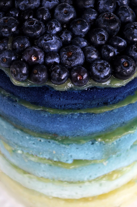 summercakes7