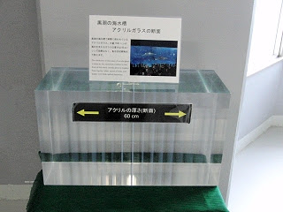 上 水族館 水槽 厚さ