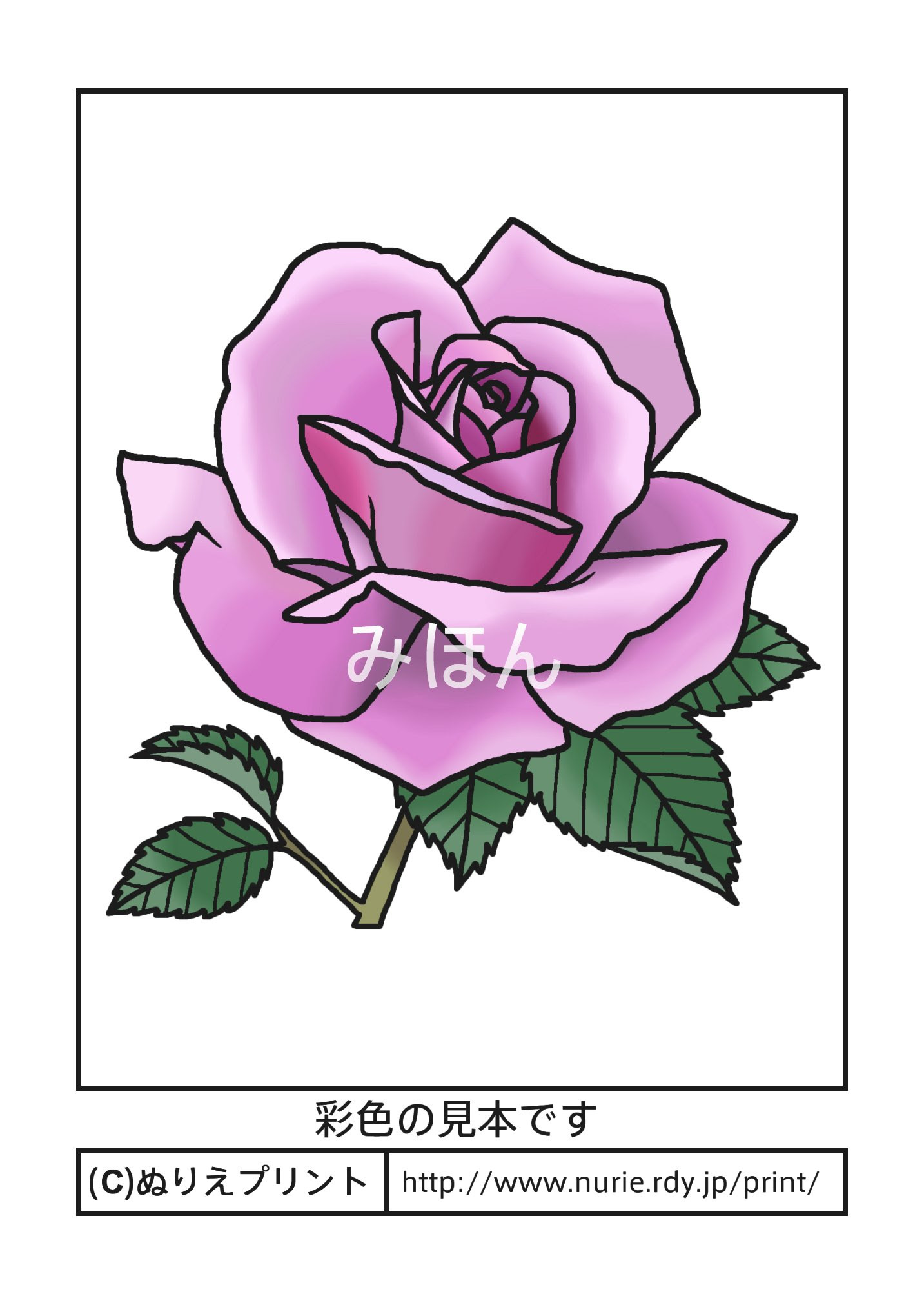 バラ4 彩色見本 花の塗り絵 無料イラスト ぬりえプリント