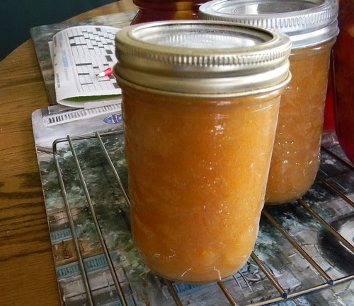 Mock Apricot Jam