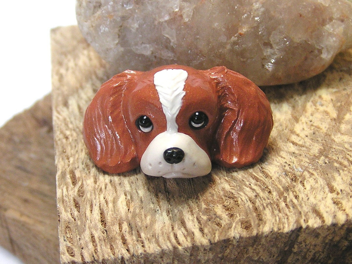 blenheim cavalier king charles spaniel. Cavalier King Charles Spaniel