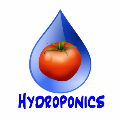 Hydroponic Tomato water drop design logo Cut Outs