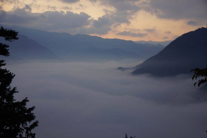 早朝だけに出会える絶景 吉野川大歩危峡 川霧が渓谷を埋め尽くす神秘的風景 徳島県 Lineトラベルjp 旅行ガイド