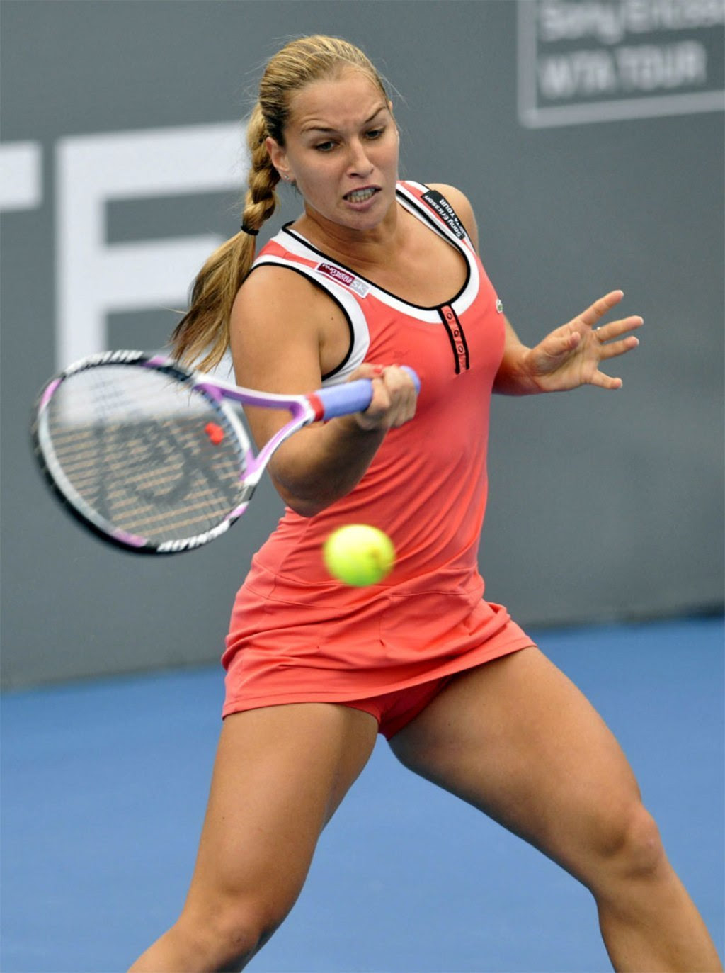 Tennis dominika cibulkova muscular legs