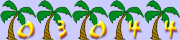 Web Page Hit Counter