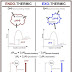 Is Condensation Endothermic or Exothermic