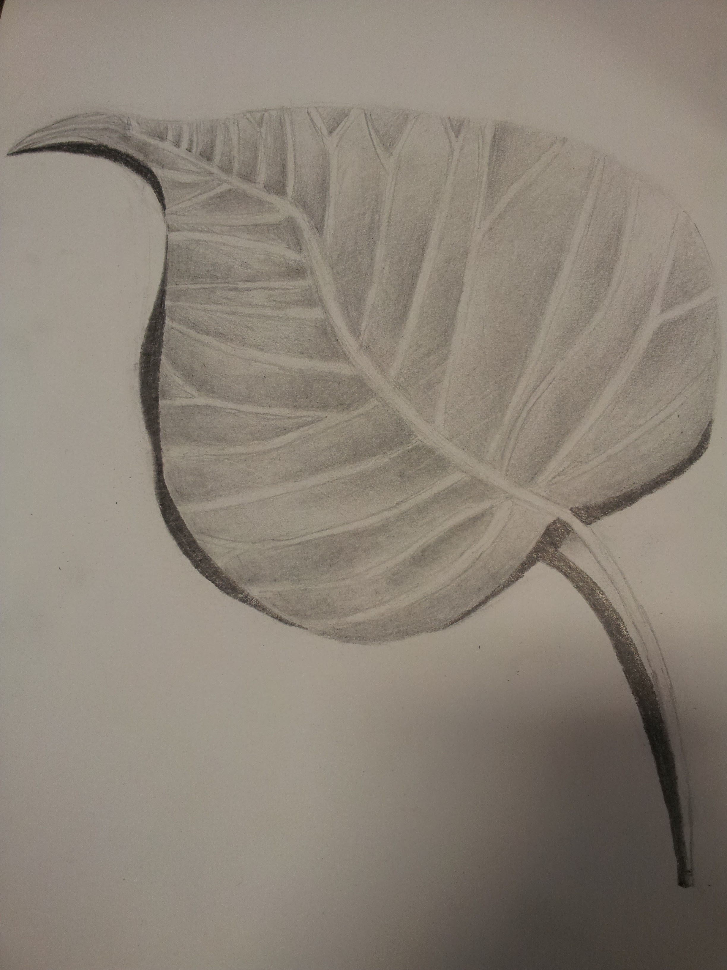 Realistic Leaf Drawing at GetDrawings | Free download