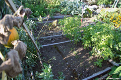 plot 2
