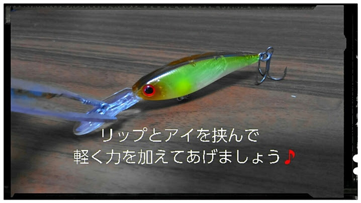 初心者必見 シャッドプラグのすすめ ルアーライフマガジン