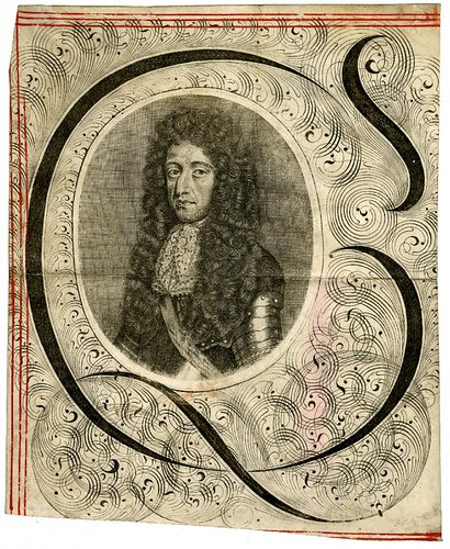 Bust portrait of William III in state robes