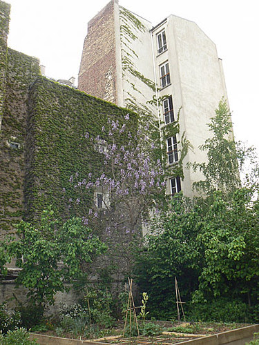 petit jardin.jpg