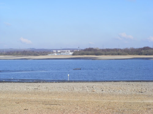 2010_03090013