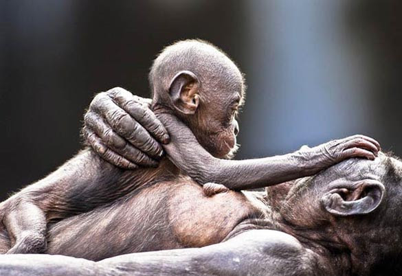 National Geographic 2012 (10)
