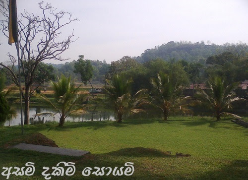 photo0148