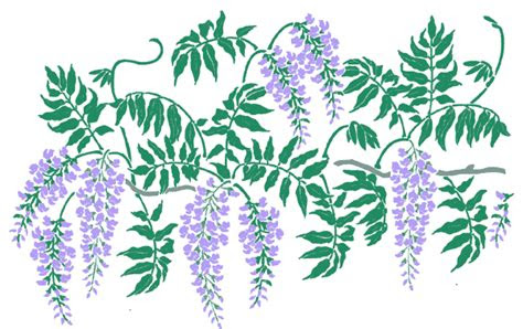  purple flowers and green leaves are growing on a branch in front of a