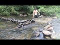Primitive Technology: Build a stone dam to trap fish and cook fish in the forest of survival