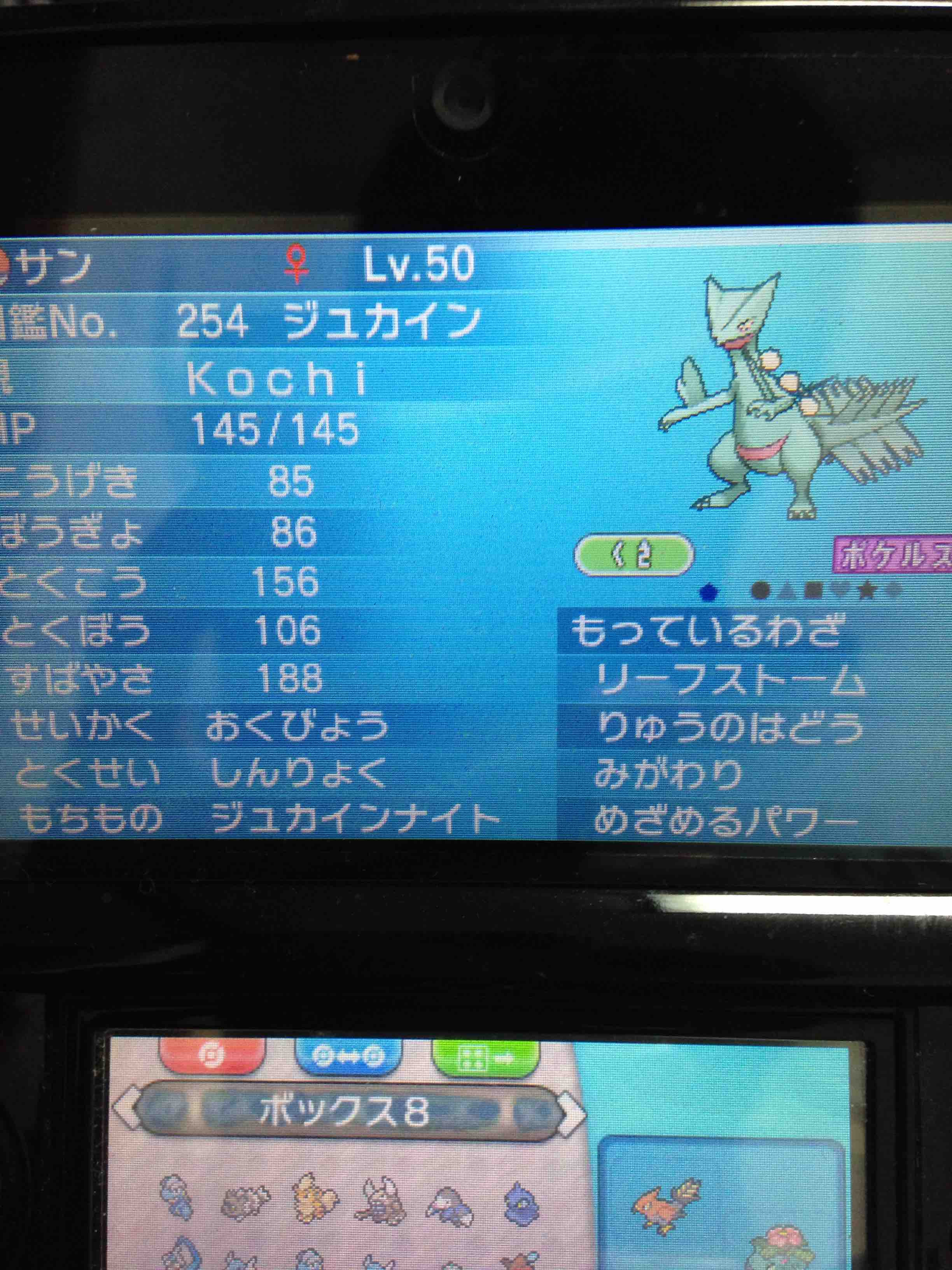 Kochiのメガジュカイン考察 Kochiがブログを書くだけ