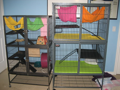 Ferret Nation Chinchilla Cage