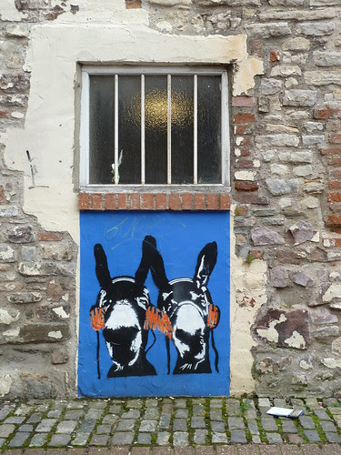 donkeys like music too