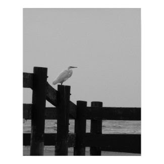 Egret print