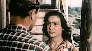 FULLHD مشاهدة فيلم Przygoda na Mariensztacie 1954 مترجم