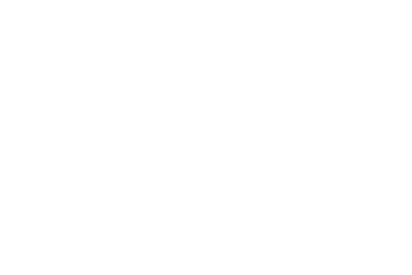 円レース素材 レース素材専門サイト Da Lace ダ レース