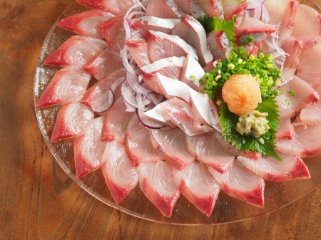 ヒラマサのさばき方と刺身の切り方 動画 簡単もみじおろしの作り方 魚料理と簡単レシピ