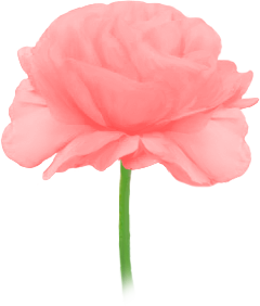 花イラスト無料素材 花 イラスト無料 フリー 素材