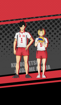 ハイキュー 烏野高校 日向翔陽 影山飛雄 Line着せかえ 370円