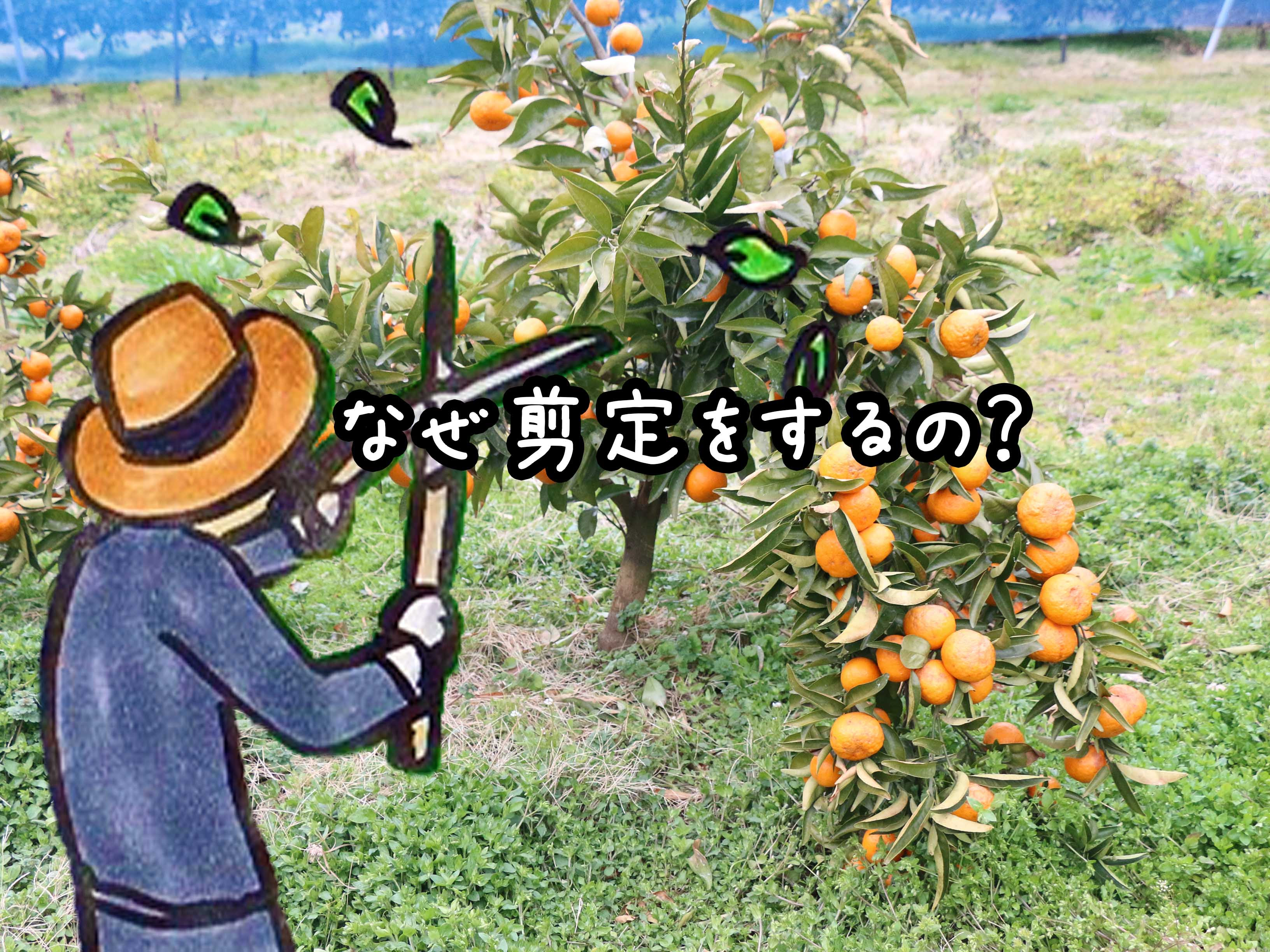 剪定方法