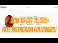 How To Get 10 000 Free Instagram Followers In One Minute Works