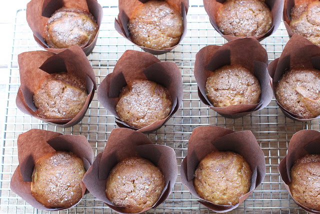 Pumpkin Muffins