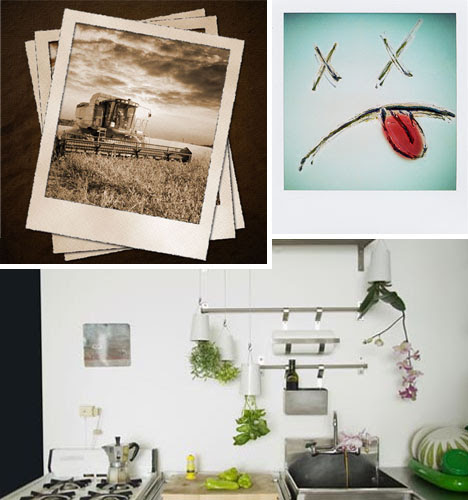 polaroid plant pot concept