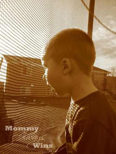 will, trampoline