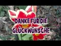 Glückwünsche Geburtstag Danksagung