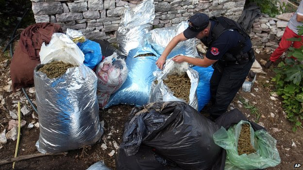 Albanian police officers seize considerable amounts of marijuana in  Lazarat on 20 June 2014