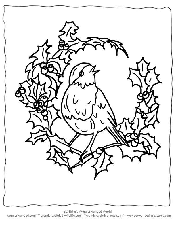 Winter bird coloring pages download and print for free
