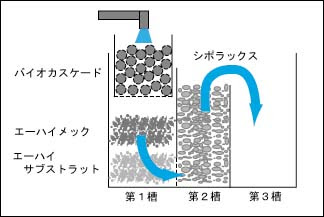 自作60cm濾過槽