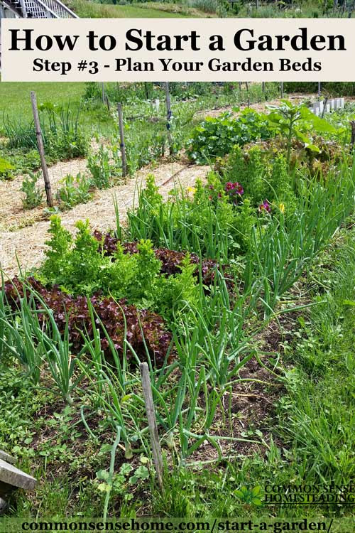 Want to learn how to start a garden? We'll take you through gardening for beginners, from planning your garden to harvest, for stress free gardening.