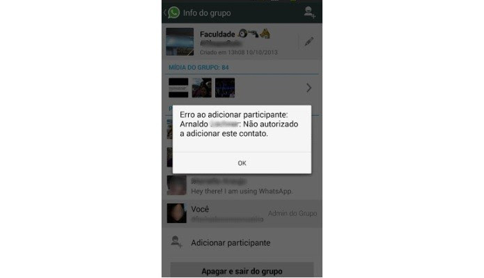 Mensagem de erro ao tentar adicionar um amigo no grupo do WhatsApp (Foto: Reprodução/Lívia Dâmaso)