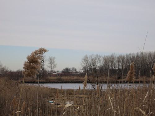 paerdegat basin brooklyn nyc