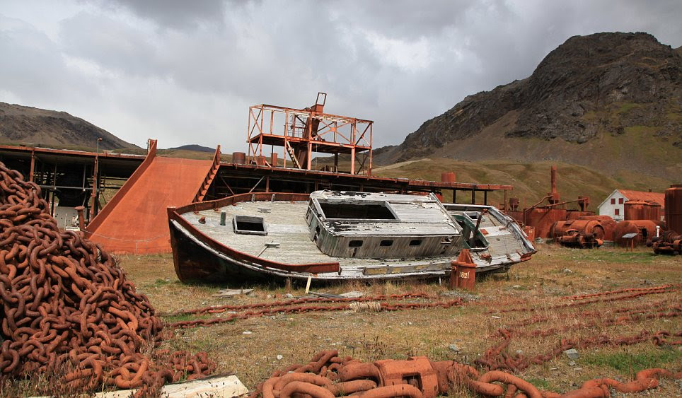 Fishermen lived right on the water in a green valley between snow-capped mountains on the isolated island until the 1960s, when the whaling station was closed due to low whale stocks