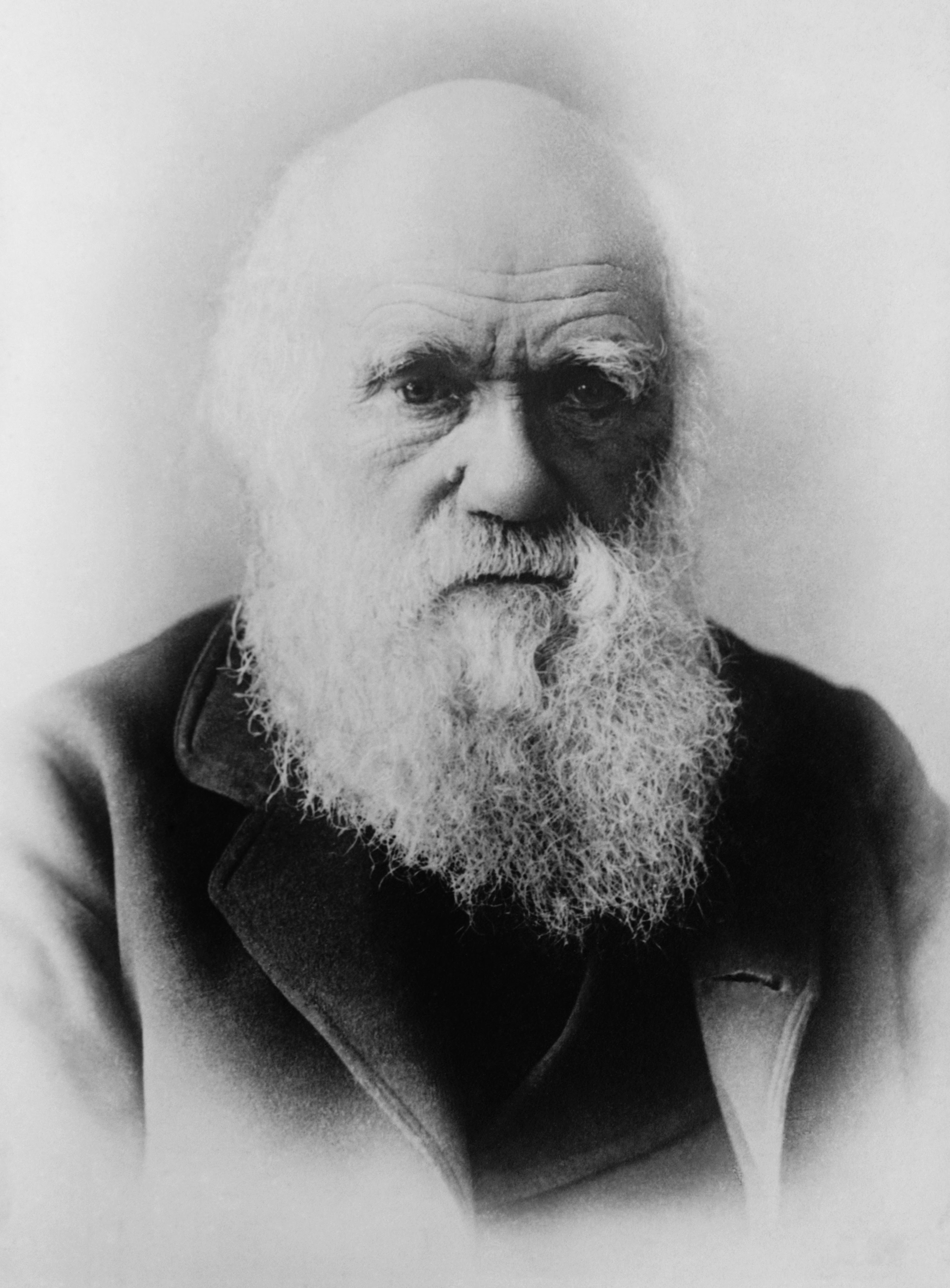  Charles Darwin