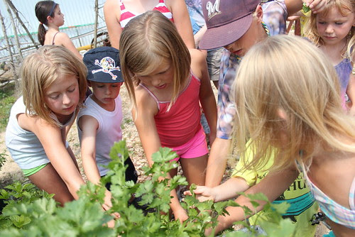Week 4 of Kids in the Garden at Lapacek's Orchard