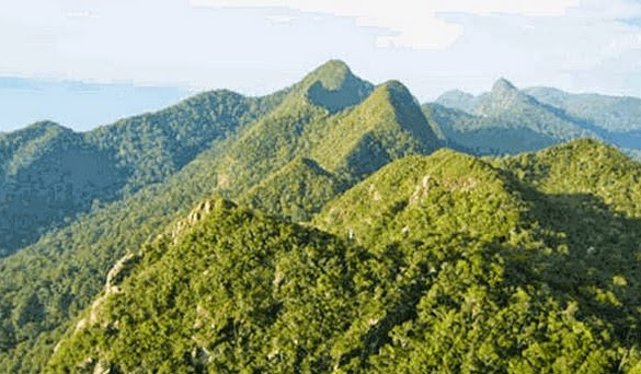 Taman Nasional Bukit Baka Bukit Raya