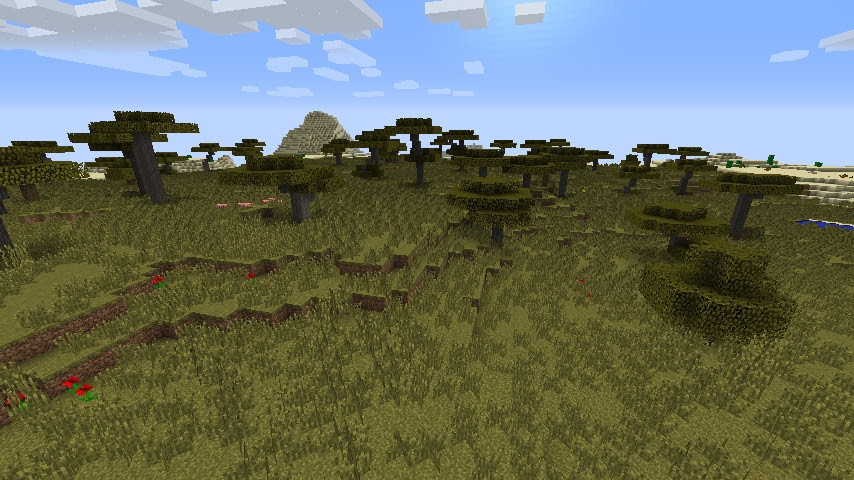 Savanas