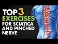 Physical Therapy Exercises For Sciatica Nerve