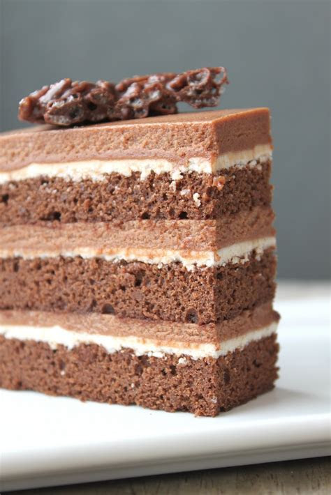 chocolate hazelnut cake  praline chocolate crunch