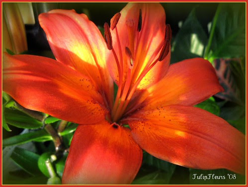 24 Interludes of Life . . .