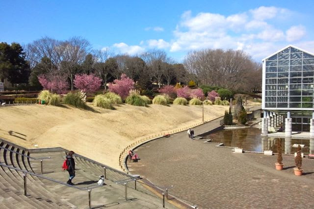 麻 溝 公園 自転車 練習